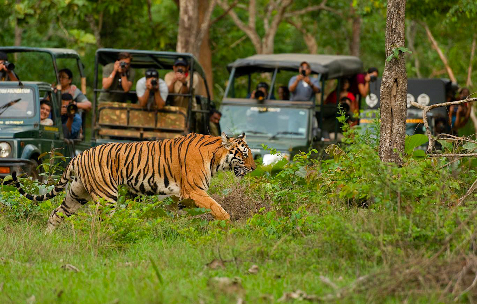 Jim Corbett Tour Packages